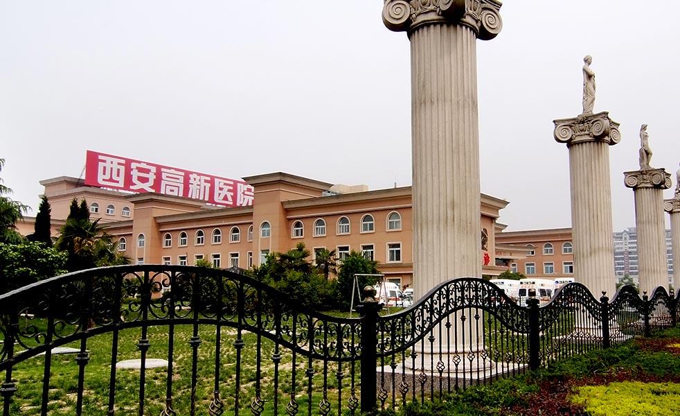 西安高新醫院國際會議廳擴聲系統