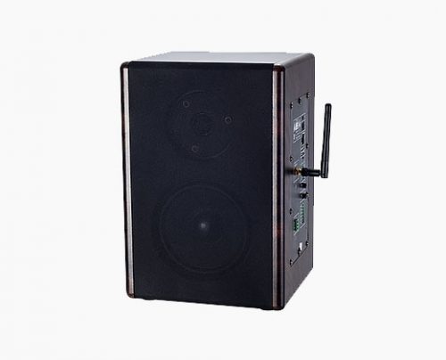 LAX SK-9523 數(shù)字網(wǎng)絡(luò)監(jiān)聽音箱